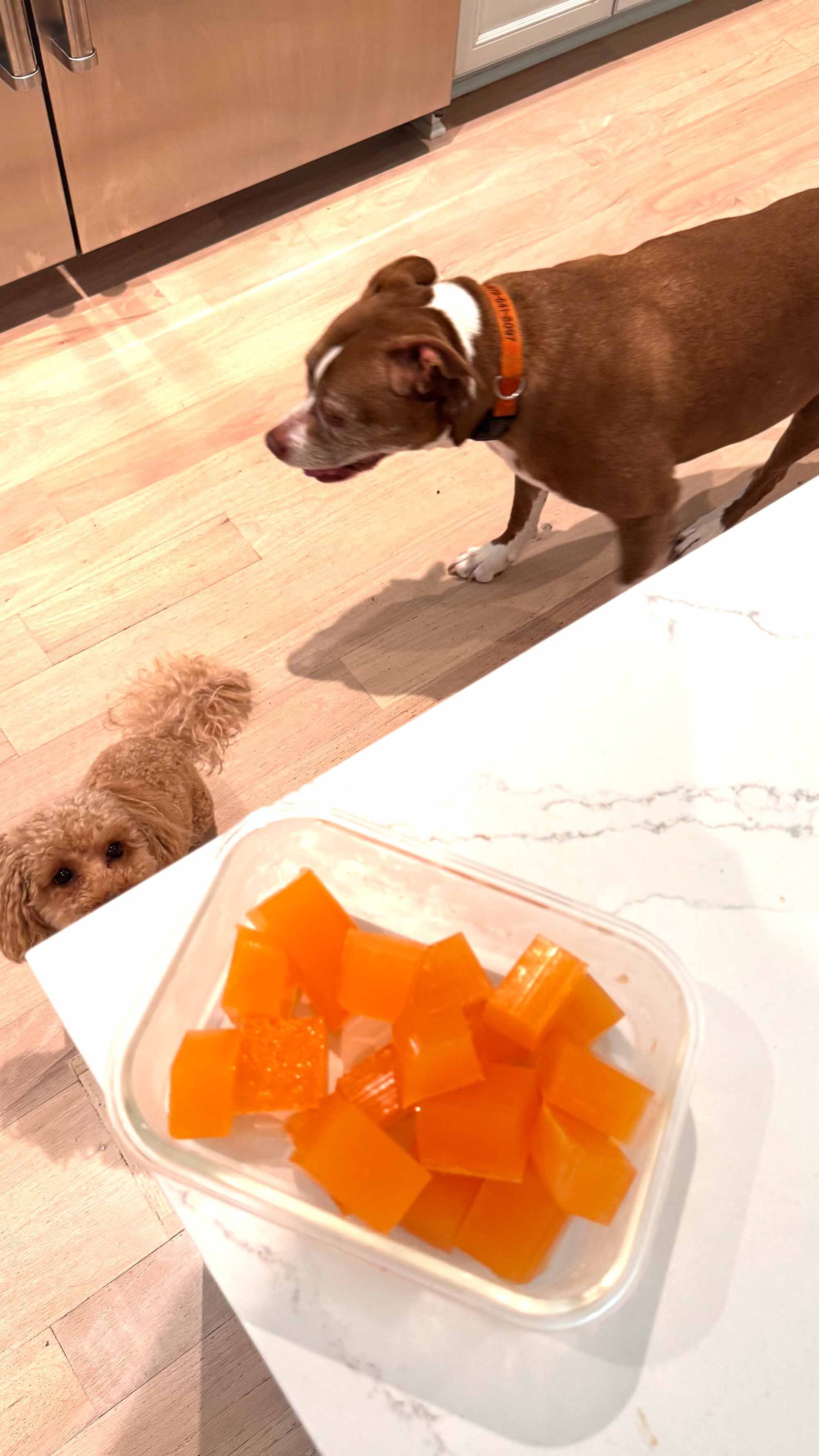 Fruit Gelatin Gummies